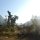 Morgennebel